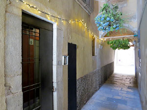 Temps de Flors 2022. Carrer de l'Arc