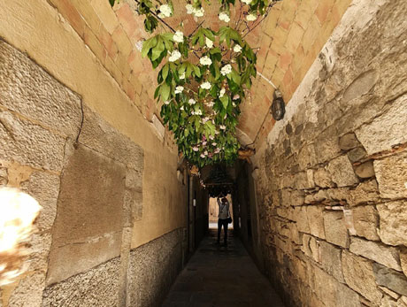 Temps de Flors 2022. Carrer de l'Arc