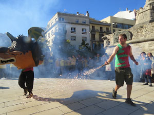 Fires de Sant Narc&iacute;s 2022. XLI Trobada de Gegants i Bestiari