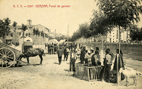 Mercat del bestiar al passeig del General Mendoza. A l'esquerra el convent del M&iacute;nims o de Sant Francesc de Paula i a la dreta, el Pont del Carme. 1905