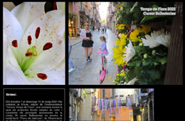 Anar