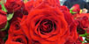 Les parades de Sant Jordi