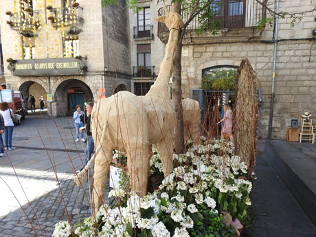 Temps de Flors 2022. Pujada del pont de Pedra