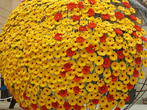 Temps de Flors 2022. UdG. Edifici Les &Agrave;ligues