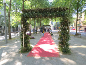 Temps de Flors 2022. Avinguda Ramon Folch