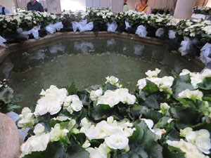 Temps de Flors 2022. Banys &Agrave;rabs