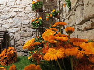 Temps de Flors 2022. Banys &Agrave;rabs