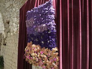 Temps de Flors 2022. Soterranis de la Catedral