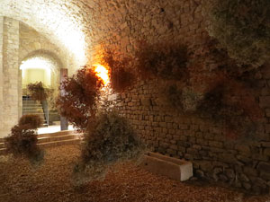 Temps de Flors 2022. Soterranis de la Catedral