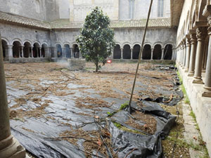 Temps de Flors 2022. Claustre de la Catedral