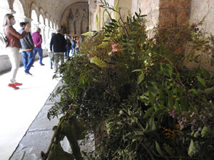 Temps de Flors 2022. Claustre de la Catedral