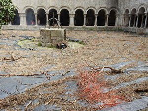 Temps de Flors 2022. Claustre de la Catedral