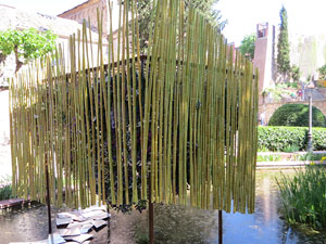 Temps de Flors 2022. Jardins Doctor Figueras - Font