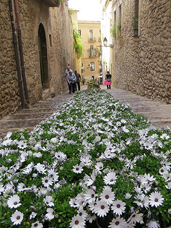 Temps de Flors 2022. Pujada de la Catedral - Escales de la Pera