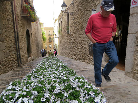 Temps de Flors 2022. Pujada de la Catedral - Escales de la Pera