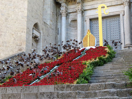 Temps de Flors 2022. Bas&iacute;lica de Sant Feliu. Escalinata principal