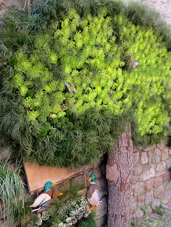 Temps de Flors 2022. Carrer Ferran el cat&ograve;lic - Paret