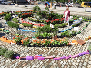 Temps de Flors 2022. Jard&iacute; de la Inf&agrave;ncia