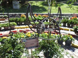 Temps de Flors 2022. Jard&iacute; de la Inf&agrave;ncia