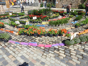 Temps de Flors 2022. Jard&iacute; de la Inf&agrave;ncia