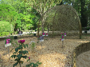 Temps de Flors 2022. Jardins de la Devesa