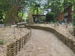 Temps de Flors 2022. Jardins de la Devesa