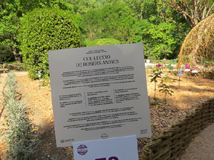 Temps de Flors 2022. Jardins de la Devesa