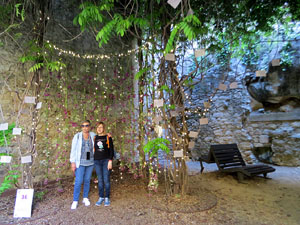Temps de Flors 2022. Muralla al costat de la Carbonera