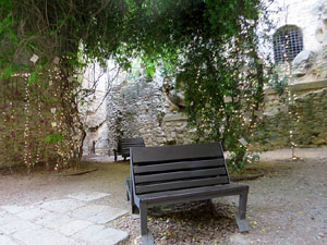 Temps de Flors 2022. Muralla al costat de la Carbonera