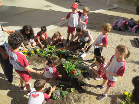 Temps de Flors 2022. Pla&ccedil;a de Sant Feliu