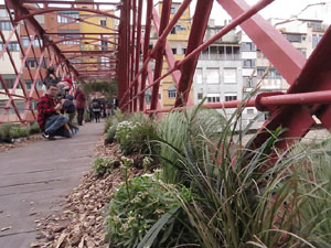 Temps de Flors 2022. Pont de les Peixateries Velles