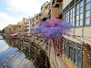 Temps de Flors 2022. Pont de Sant Agust&iacute;
