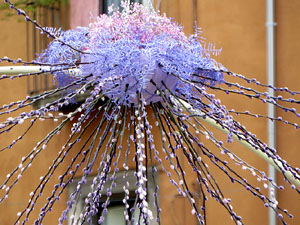 Temps de Flors 2022. Pont de Sant Agust&iacute;