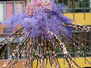Temps de Flors 2022. Pont de Sant Agust&iacute;