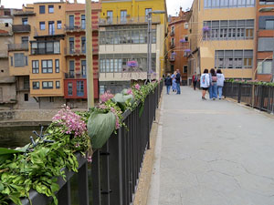 Temps de Flors 2022. Pont de Sant Agust&iacute;