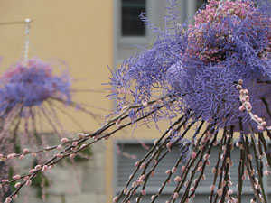Temps de Flors 2022. Pont de Sant Agust&iacute;