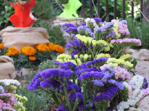Temps de Flors 2022. Parterre davant la Rectoria de Sant Feliu