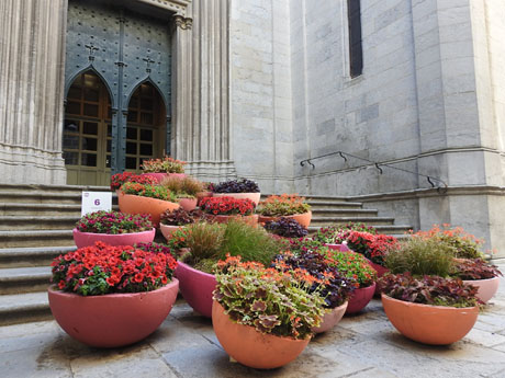 Temps de Flors 2022. Esgl&eacute;sia del Sagrat Cor