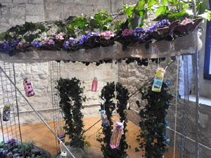 Temps de Flors 2022. Les Sarra&iuml;nes