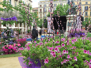 Temps de Flors 2022. Pla&ccedil;a de la Independ&egrave;ncia