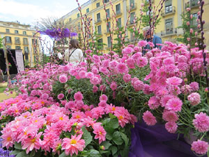 Temps de Flors 2022. Pla&ccedil;a de la Independ&egrave;ncia