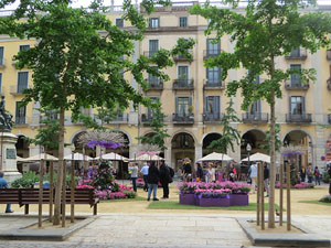 Temps de Flors 2022. Pla&ccedil;a de la Independ&egrave;ncia