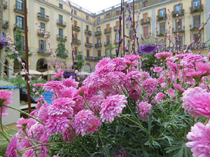 Temps de Flors 2022. Pla&ccedil;a de la Independ&egrave;ncia