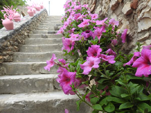 Temps de Flors 2022. Capella de Sant Crist&ograve;fol