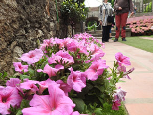 Temps de Flors 2022. Capella de Sant Crist&ograve;fol