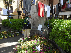 Temps de Flors 2022. Rambla Jacint Verdaguer