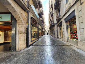 El carrer Abeuradors