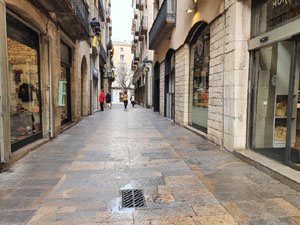 El carrer Abeuradors