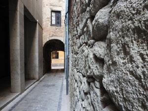 El carrer i travessia de l'Auriga