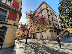 El carrer de les Hortes